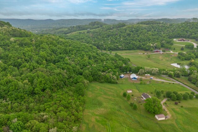402 Cortner Hollow Rd, Petersburg, TN 37144 - photo 49