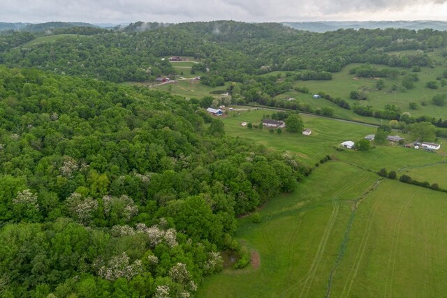 402 Cortner Hollow Rd, Petersburg, TN 37144 - photo 59
