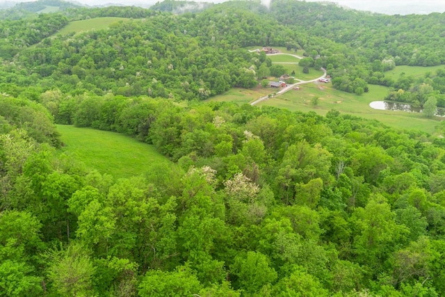 402 Cortner Hollow Rd, Petersburg, TN 37144 - photo 53