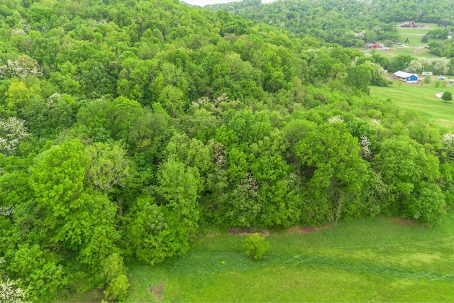 402 Cortner Hollow Rd, Petersburg, TN 37144 - photo 62