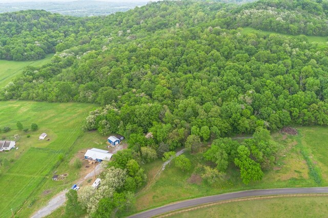 402 Cortner Hollow Rd, Petersburg, TN 37144 - photo 58