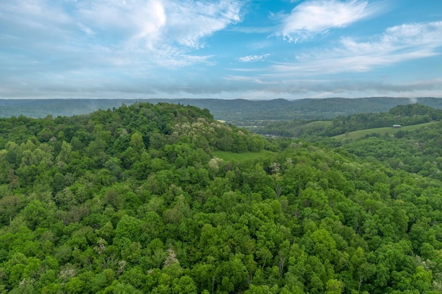402 Cortner Hollow Rd, Petersburg, TN 37144 - photo 7