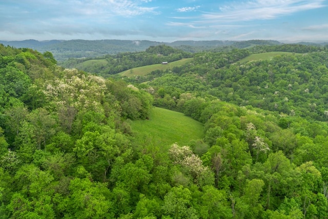 402 Cortner Hollow Rd, Petersburg, TN 37144 - photo 52