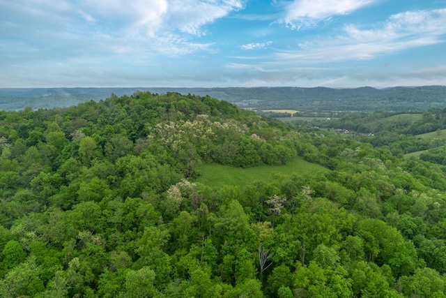 402 Cortner Hollow Rd, Petersburg, TN 37144 - photo 51