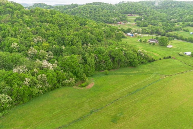 402 Cortner Hollow Rd, Petersburg, TN 37144 - photo 60