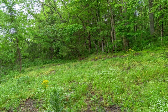 402 Cortner Hollow Rd, Petersburg, TN 37144 - photo 64