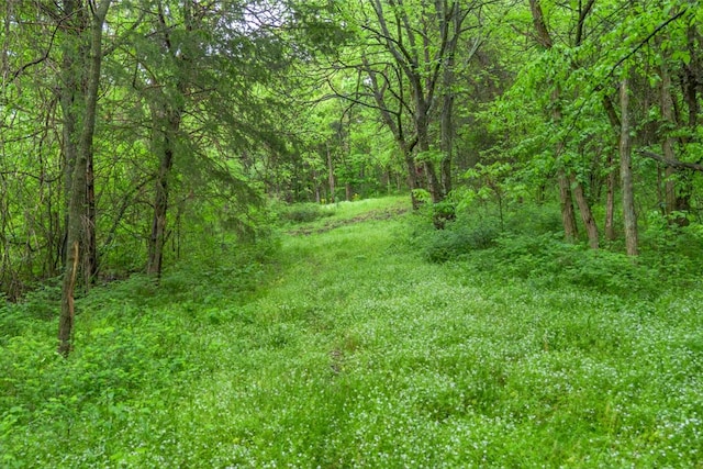 402 Cortner Hollow Rd, Petersburg, TN 37144 - photo 6
