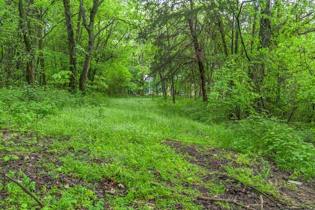 402 Cortner Hollow Rd, Petersburg, TN 37144 - photo 65