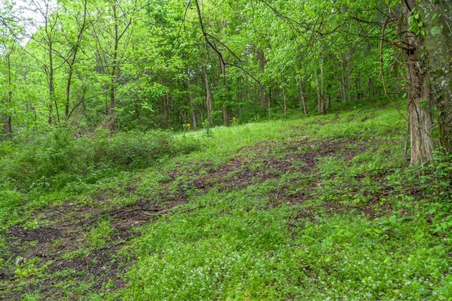 402 Cortner Hollow Rd, Petersburg, TN 37144 - photo 63