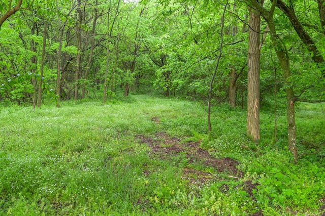 402 Cortner Hollow Rd, Petersburg, TN 37144 - photo 5