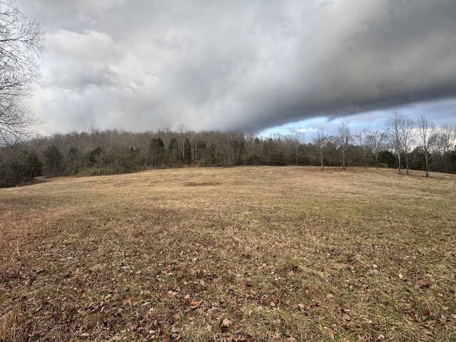 502 Rogues Fork Rd, Bethpage TN, 37022 land for sale