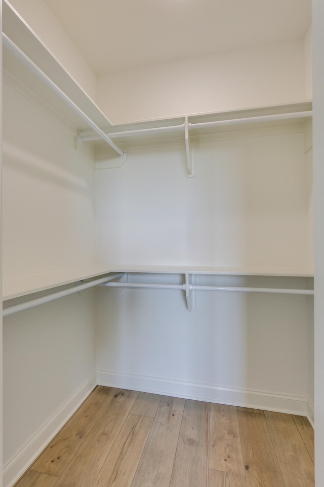 walk in closet with light wood-type flooring