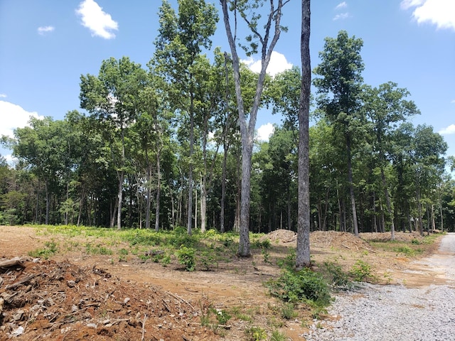 view of local wilderness