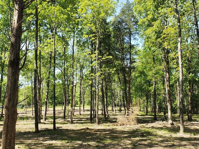 view of landscape