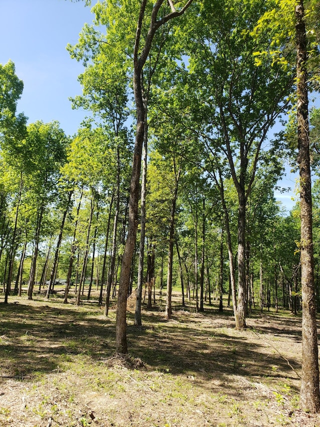 view of local wilderness