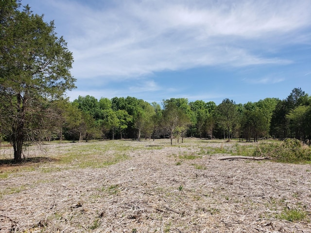 view of local wilderness with a rural view