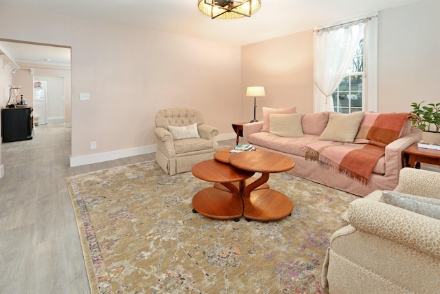 living room with light wood-type flooring