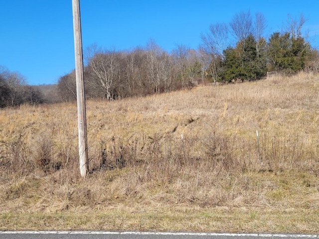 Listing photo 2 for 0 Little Bartons Creek Rd, Cumberland Furnace TN 37051