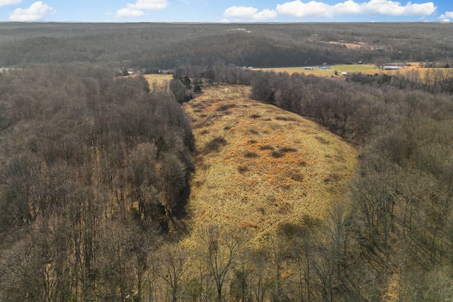 0 Little Bartons Creek Rd, Cumberland Furnace, TN 37051