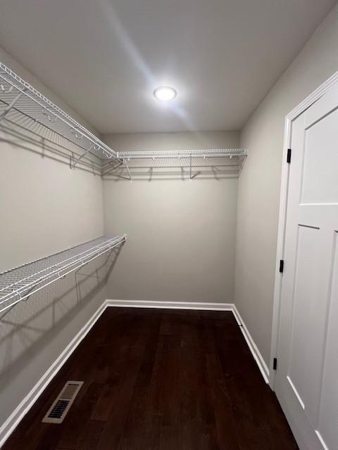 walk in closet with wood-type flooring