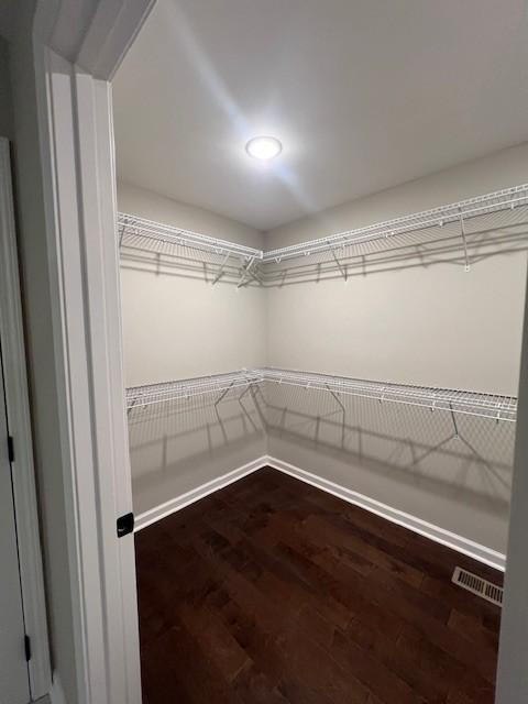 walk in closet with wood-type flooring