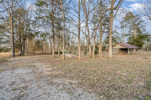 view of yard with an outbuilding