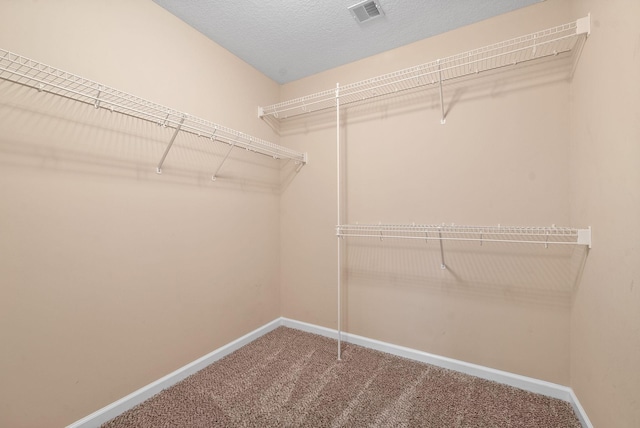 walk in closet featuring carpet floors