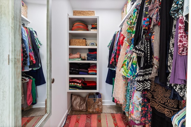 spacious closet with hardwood / wood-style flooring