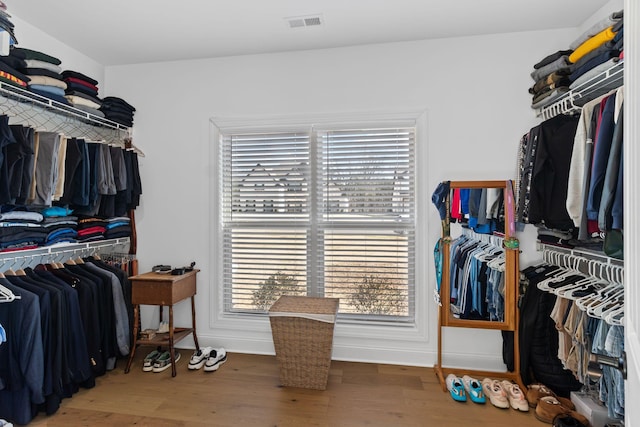 walk in closet with hardwood / wood-style flooring