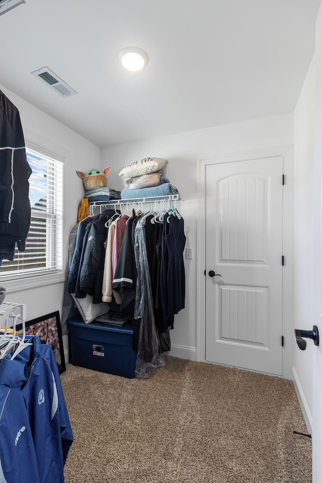 spacious closet with carpet