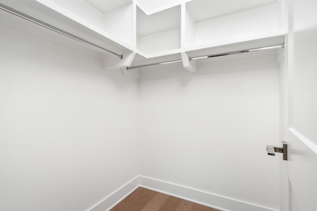 spacious closet featuring dark hardwood / wood-style flooring