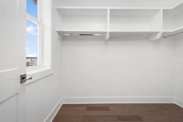 walk in closet with dark wood-type flooring