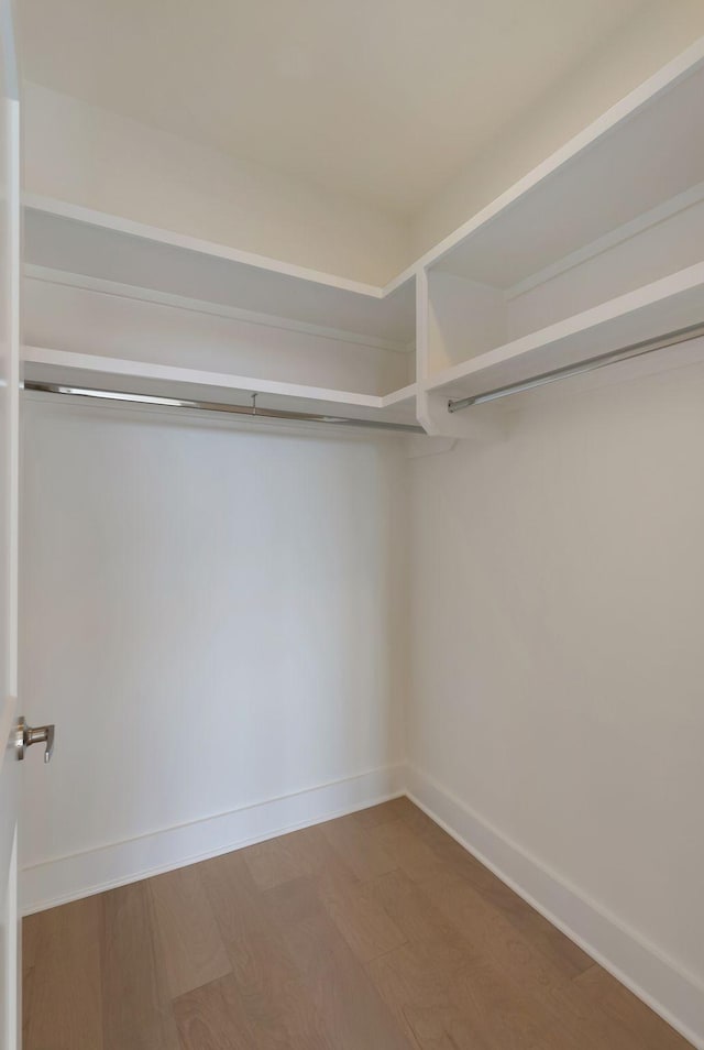 walk in closet with hardwood / wood-style flooring