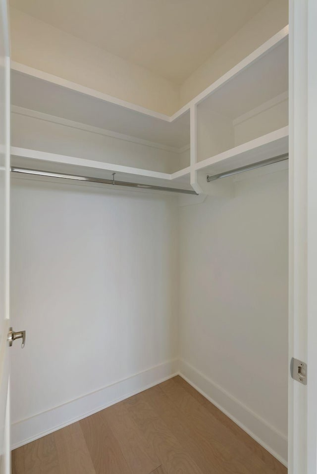 walk in closet featuring wood-type flooring