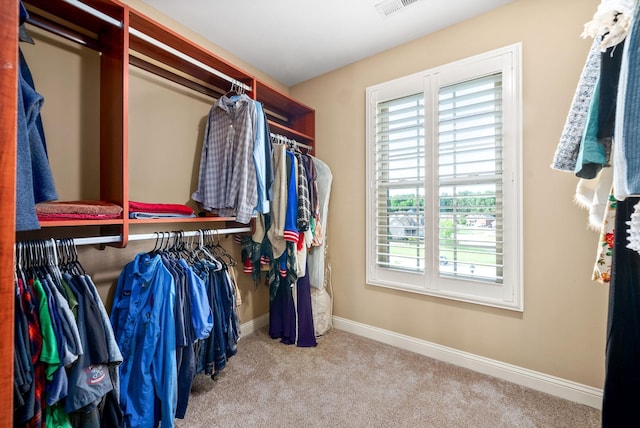 walk in closet featuring carpet floors