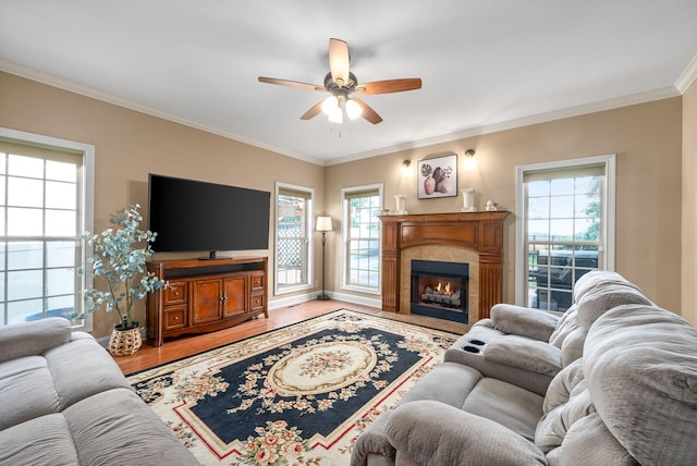 living room with ceiling fan, a tile fireplace, light wood-style flooring, and crown molding