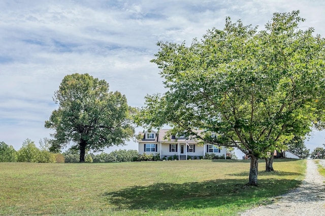 view of front of house with a front yard