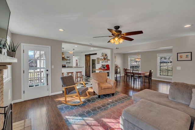 living room with ceiling fan, a barn door, and dark hardwood / wood-style flooring