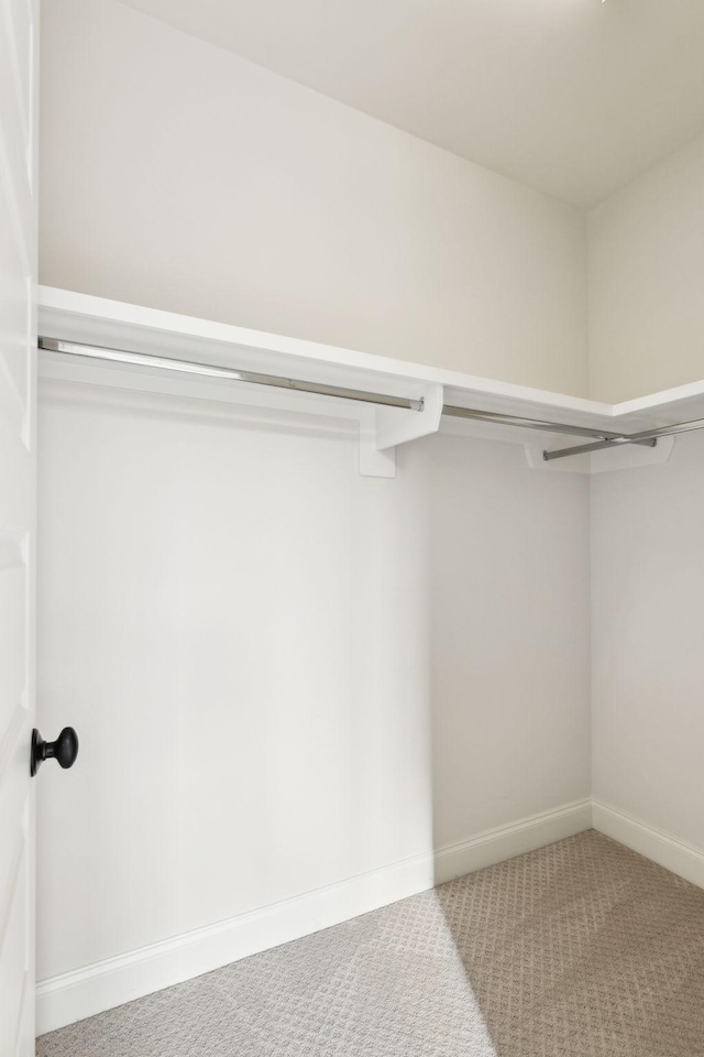 walk in closet featuring carpet flooring