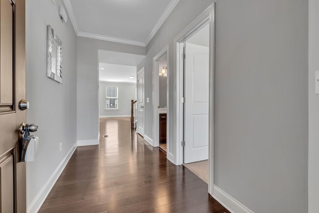 hall featuring crown molding and dark hardwood / wood-style flooring