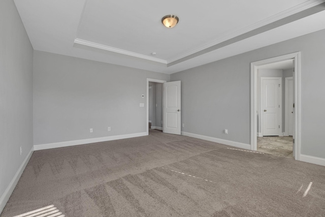 unfurnished room featuring light colored carpet and a raised ceiling