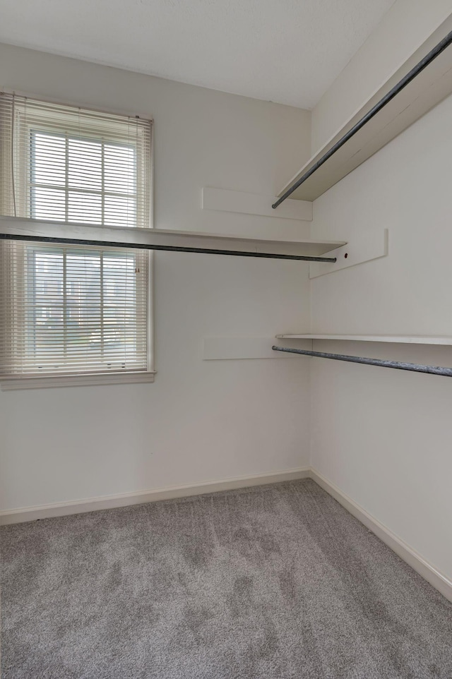 walk in closet featuring light carpet