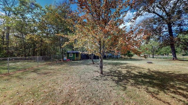 view of yard featuring a storage shed