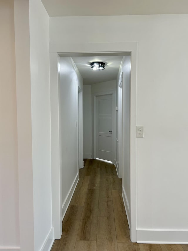 hallway with wood-type flooring