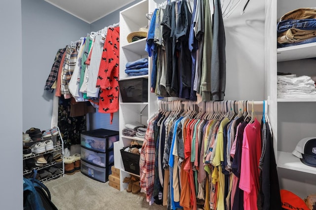 spacious closet featuring carpet floors