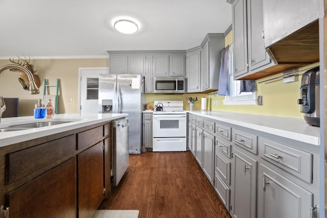 kitchen featuring dark wood-type flooring, sink, ornamental molding, gray cabinets, and stainless steel appliances