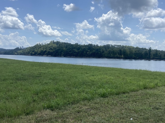 1627 Hardin Bottom River Rd, Clifton TN, 38425 land for sale