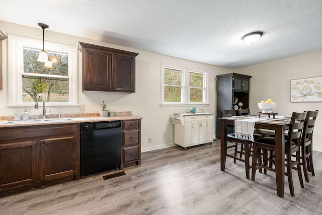 kitchen with dark brown cabinetry, sink, a healthy amount of sunlight, and dishwasher