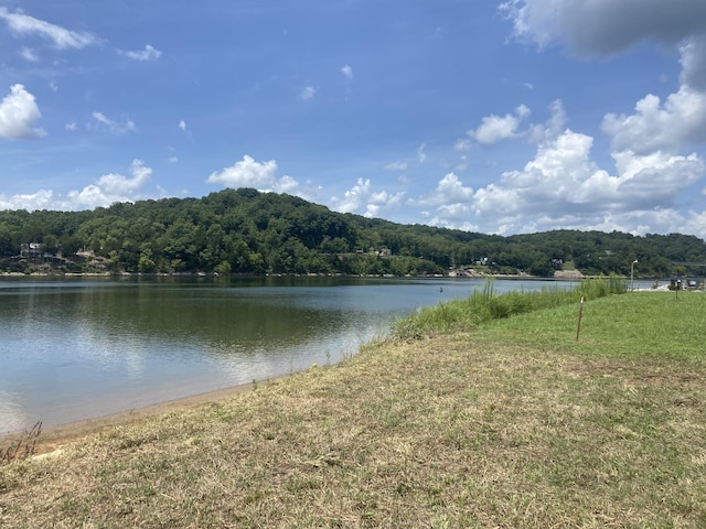 Listing photo 2 for 1765 Hardin Bottom River Rd, Clifton TN 38425