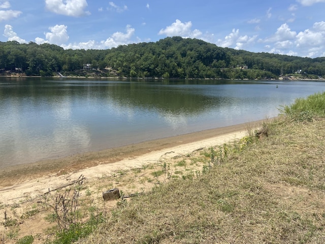 1765 Hardin Bottom River Rd, Clifton TN, 38425 land for sale